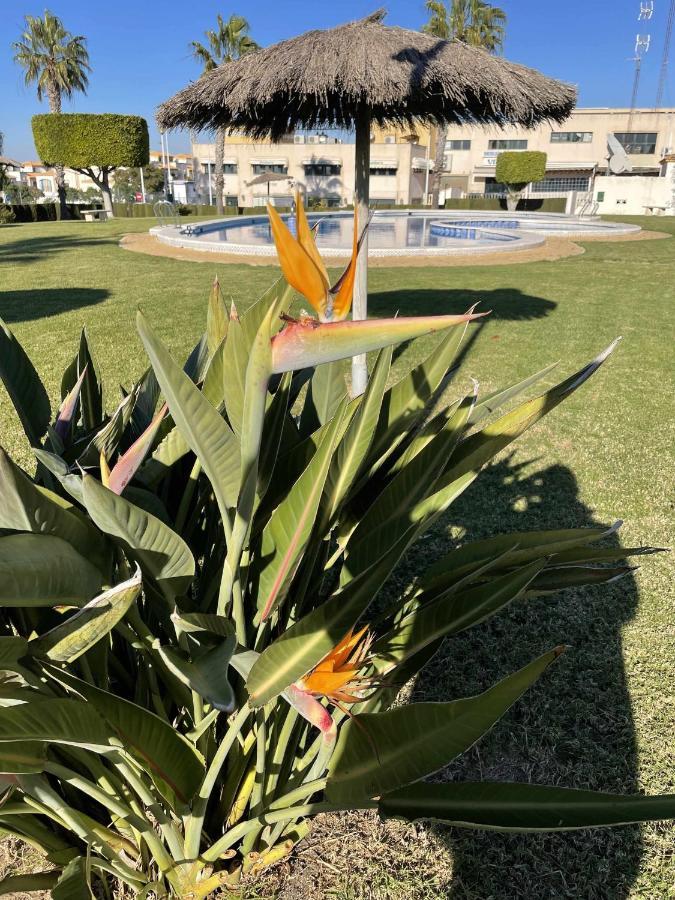 Apartamento Flamingo Gran Alacant ซานตาโปลา ภายนอก รูปภาพ